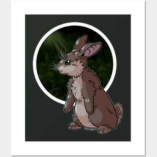 Rabbit Safe Haven Posters and Art